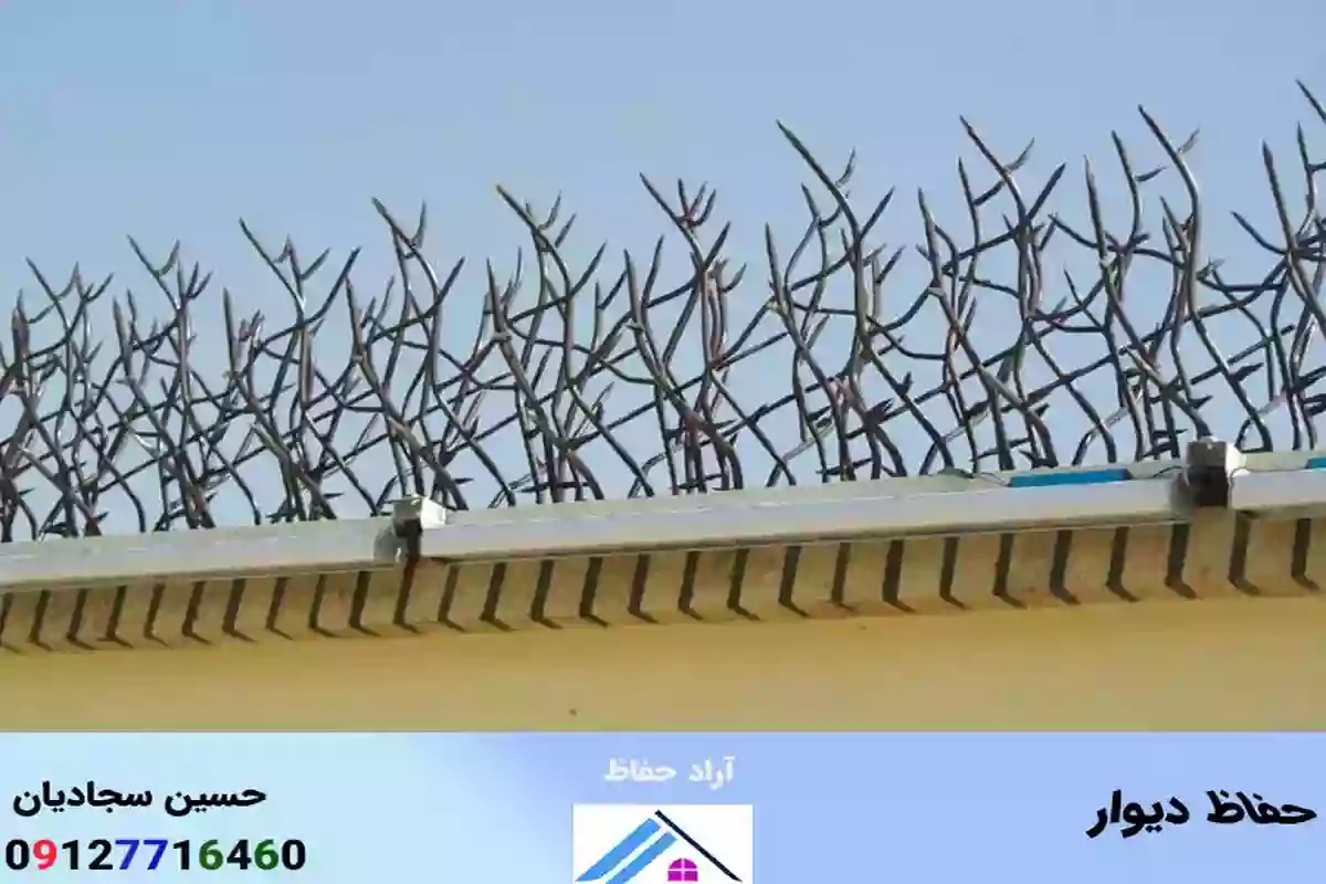 حفاظ روی دیوار حیاط