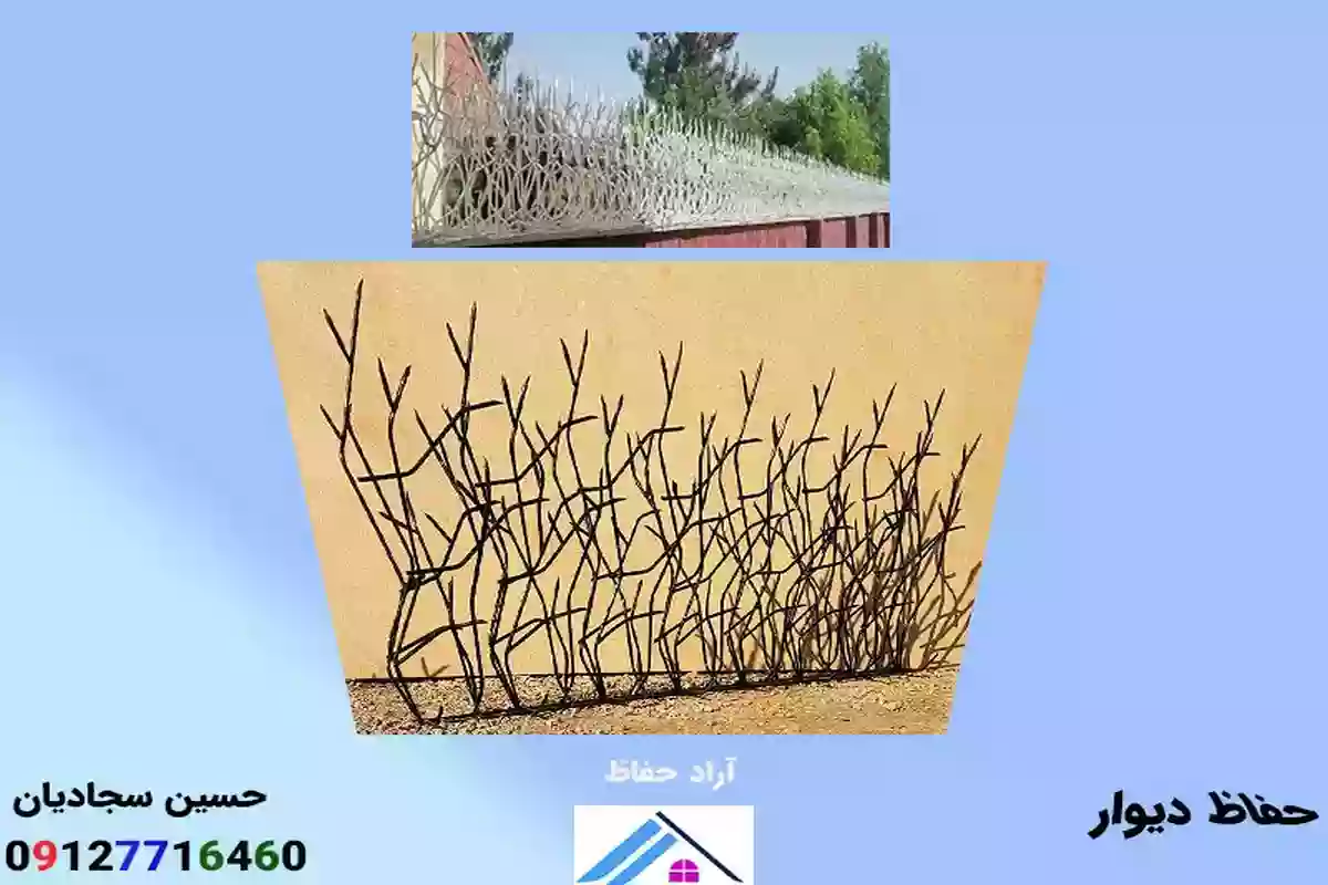 قیمت حفاظ شاخ گوزنی روی  دیوار