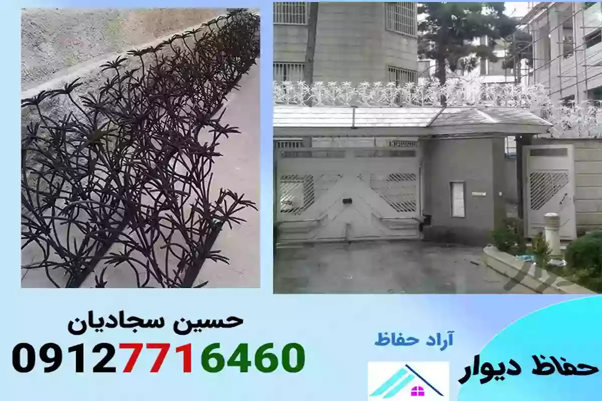 قیمت حفاظ  روی دیوار  نخل مرداب